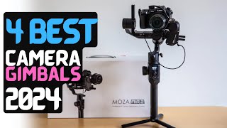 Best Camera Stabilizer of 2024  The 4 Best Camera Gimbals Review [upl. by Naicul]