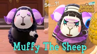 Muffy The Sisterly Sheep Animal Crossing New Horizons ACNH [upl. by Fradin]