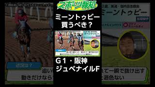 【阪神ジュベナイルフィリーズ2024】穴馬の予感！ミーントゥビーの動き「ブラウンラチェットに引けとらない」 [upl. by Eryt]