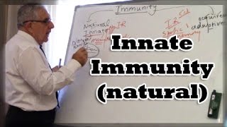 Innate Immunity natural [upl. by Shurwood]