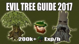 Runescape 3 Evil Tree DampD Guide 2017  200k WC Exph  Elder Trees [upl. by Yrem972]