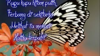 Kupukupu Hitam Putih  Iwan Fals with Lyrics [upl. by Emelina651]