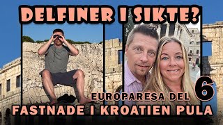 DELFINER I SIKTE  KROATIEN  PULA [upl. by Ecnatsnok]