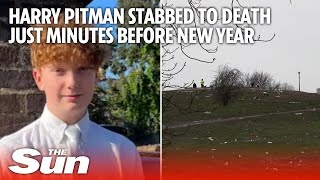 16yearold Harry Pitman stabbed to death just minutes before new year [upl. by Shaina672]