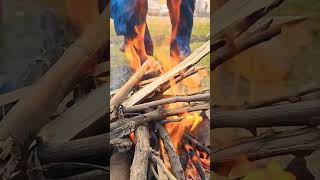 Fire flame vibrate burn fire ash light heat and flame oxygen forest temperature [upl. by Celtic]