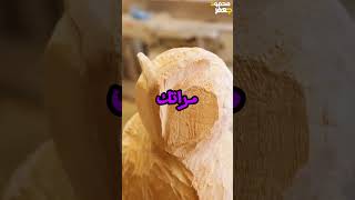 لا بس فكرتك بصراحه عجبتني 🤣 [upl. by Ennasus]