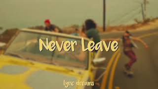 DVBBS  Never Leave Lyrics [upl. by Ahsenyt]