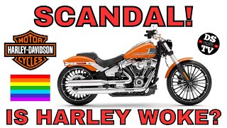 Harley Boycott  Has Harley Davidson Gone Woke [upl. by Alrats]