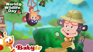 Giraffe 🦒  Animal Videos For Kids  Wild Animals  Full Episode BabyTV [upl. by Hilarius724]