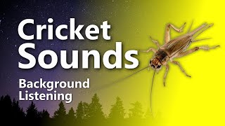 Relaxing Cricket Sounds for Sleep amp Tinnitus Relief Crickets [upl. by Yllek]