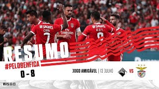 HIGHLIGHTS Académica 08 SL Benfica [upl. by Greenquist]