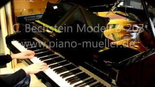 C Bechstein Modell B 203 [upl. by Sisson]