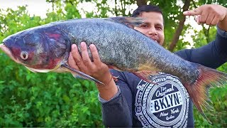 THE BEST DEEP FRYING FISH PAKORA EVER 😋 SIMPLE AND EASY WAY TO MAKE FISH FRY [upl. by Netsew301]