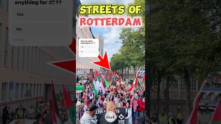 Streets of Rotterdam 🇬🇧 trending protest shorts [upl. by Hornstein509]