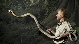 Episode 21 Special Guest MARK OSHEA A Lifetime in Herpetology [upl. by Eicirtap]