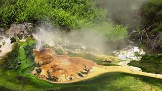 Rotorua Geothermal Wonders New Zealand [upl. by Whitcomb]