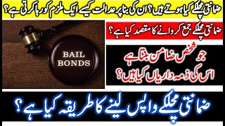 What are Bail Bonds or Surety Bonds [upl. by Vaughn826]