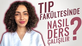 Tıp Fakültesinde Nasıl Ders Çalışılır  İstanbul Çapa Tıp İntern Doktordan Tavsiyeler [upl. by Kcitrap]