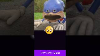 Poor Shin Sonic 😭😭😭😭😭  HorrorSkunx  Bouncing Square sonic [upl. by Moule]