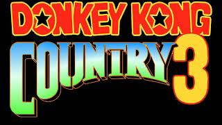 Water World  Donkey Kong Country 3 GBA Music Extended [upl. by Temhem]