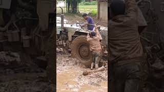 Eicher tractor short videofarming video  Chhattisgarh farming life  short video [upl. by Montano976]