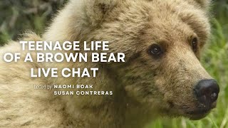 Teenage Life of a Brown Bear  Brooks Live Chat [upl. by Neetsyrk]