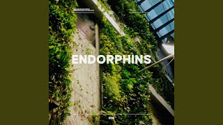 Endorphins [upl. by Oilenroc]