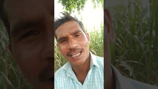 Music video bollywood shemaroo hindisong music [upl. by Jb]