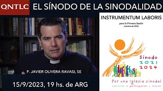 El SÍNODO de la sinodalidad Padre Javier Olivera Ravasi [upl. by Chuah303]