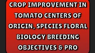 Crop improvement in Tomato Centers of origin species Floral biology breeding objectives amp pro [upl. by Derby]