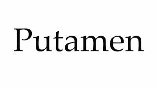 How to Pronounce Putamen [upl. by Assenal241]