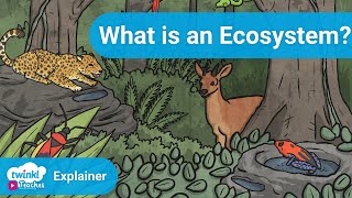 All About Ecosystems  Twinkl Parenting Wiki [upl. by Inneg]