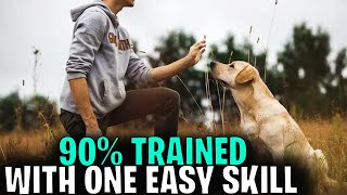 How To Get Your Dog 90 Trained with This One Easy Skill [upl. by Ottie457]