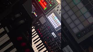 Polyend tracker Korg modwave Roland tb3 circuit rhythm [upl. by Fitz]