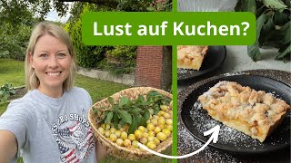 Ich ernte Mirabellen im Garten und backe eine fruchtige Tarte  Mirabellenkuchen mit Streuseln [upl. by Thoer]