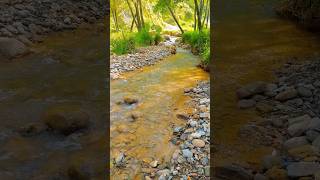 Kashmir vlogs abbottabad nature mountains islamicshorts [upl. by Eillek]