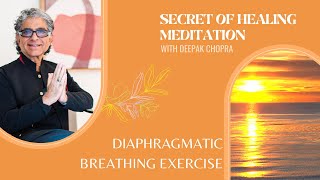 Guided Meditation for Breathing [upl. by Neersan]