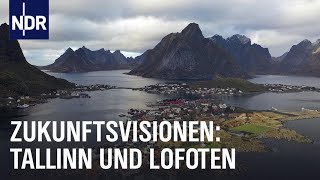 Wie Tallinn und die Lofoten in die Zukunft gehen  Ostseereport  NDR Doku [upl. by Airekahs]