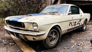 1965 Shelby GT350 Mustang Found and Rescued Must Watch [upl. by Harland588]