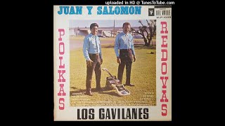 Los Tremendos Gavilanes Polkas Y Redovas Disco Completo [upl. by Pruter]