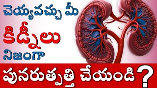 కిడ్నీలు నిజంగా పునరుత్పత్తి చేయగలవా  South Indias Complete Guide to Kidney Regeneration  SRIAAS [upl. by Lovett]