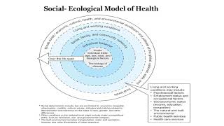 Social Ecological Model [upl. by Ahsei]