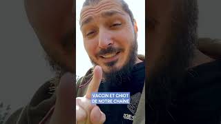 Vaccin  Fautil sortir son chiot [upl. by Dall]