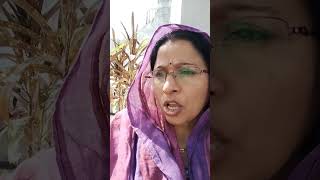 Saty ghatna pr aadharit 🤭🤣 comedy haryanvi funny [upl. by Noyek]