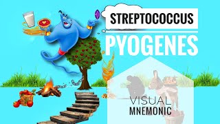 Streptococcus Pyogenes  Visual Mnemonic  Microbiology Bacteriology [upl. by Juliann]