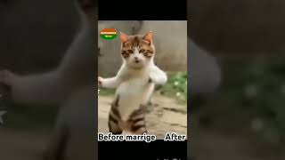 Angna mai saya swimming pull bhojpuri dj happynewyearandhappydiwali dance internetmeme [upl. by Nire]