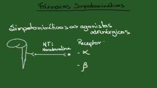 Agonistas Adrenérgicos Simpatomiméticos  Resumo  Farmacologia [upl. by Zahc148]