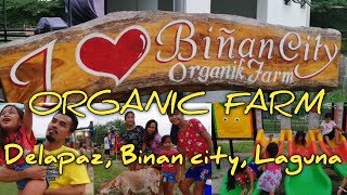 Organic farm Dela paz binan city laguna [upl. by Wilhelmina835]