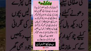 Life Changing Sayings  Urdu Quotes shorts ytshorts shortfeed trending short quotes [upl. by Inah]