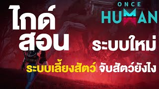 Once Human ระบบเลี้ยงสัตว์ จับสัตว์ยังไง [upl. by Borg894]